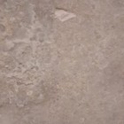 Bony Fish Fossil Specimen On Stone Slab Natural History Collectible Display