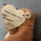 Ty Teenie Beanie Babies Nuts The Squirrel Plush 1993 Ages 3-7 Years 3-4 4-7
