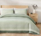 Chezmoi Collection Reed 2-piece Chic Patchwork Striped Quilt Set - Green Floral