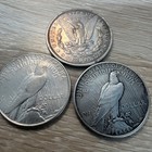 Silver Dollar Coins Lot 1891 Morgan And Two Peace 1923 And 1924