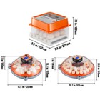 Vevor Egg Incubator Incubators For Hatching Eggs Auto Turning 12  24  48 Eggs