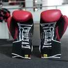 Everlast 1910 Leather Hook And Loop Boxing Gloves 14oz Training Gloves