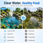 Pond Filter With Fountain Pump Kits  790gph Koi Pond Filter With 60w Pond Pumps