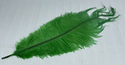 Millinery Feather Hat Plumes Vintage Lot Of  12