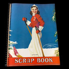 Lot Of  9  Unused Vintage Scrapbooks - Beautiful Old Litho Covers 12  By 9 