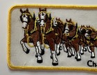 Vintage Budweiser Champion Clydesdales Patch Large Jacket Sign Sew On 7 5 x3  