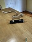 Antique Vintage 1930   s Cast Iron Figural Heavy Dog Nut Cracker