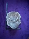 Japanese Noh Mask Hotokusai Oni Demon Mask Noh Style Rare Mask Collectible 13 