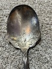 Antique 1902 1847 Rogers Bros  charter Oak  Silverplate Berry Serving Spoon