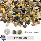 Fantian 2 Lbs Aquarium Gravel  2 5 Inch Pea Gravel For Fish Tank 