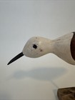 Wooden Shorebird