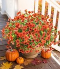 12 Bundles Faux Daisy Outside Plastic Shrubs Fall Decor Farmhouse Home Orange