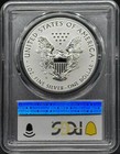 2019 S Reverse Proof American Silver Eagle Pcgs Pr-70 Enhanced