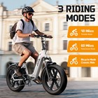 Tst 20  X 4 0 Fat Tire Electric Bike For Adults 48v 15ah 1000w Peak E-bicycle