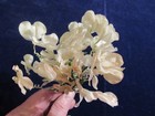 Vtg Millinery Flower 1  Sweet Pea Blossom 36pc Bunch Faint Pink Ivory Crispy B87