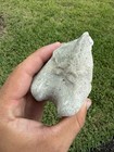 Internal Clam Mold Fossil - Steinerkern - Florida Fossil