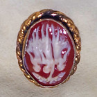 Oval Red   White Cameo Brooch Pin  Gold-tone Frame  People Theme