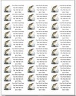 150 Northern Pike Fish Mailing Return Address Labels Personalized  1 X 2 5 8 In 