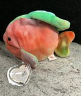 New Beanie Babies Coral The Fish Plush By Ty 1995