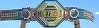 Custom Ufc Legacy Championship Replica Belt Brass Sublimation Leather