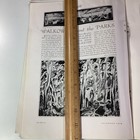 Wolkowitz Art Print Article 1924 Original Rare Antique Public Parks Nyc Central