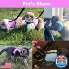 Guinea Pig Harness And Leash  Rat Harness Leash Set Eescape Proof Walking Tra