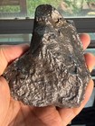 603 8grams Aletai Iron Meteorite Specimen