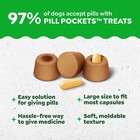 Greenies Pill Pockets Large Dog Treats Chicken 15 8 Oz 60 Ct 2 Pack