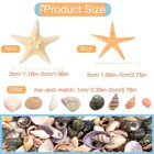 Mixed Mini Sea Shells 200g With 10 Starfish For Diy Crafts Beach Decor