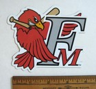Fargo-moorhead Redhawks Magnet Baseball Team North Dakota