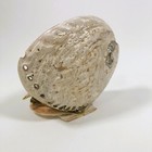 Vintage Seashell Art Myrtle Beach Sc Souvenir Large 6  Sailboat Beach Decor