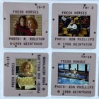 16 Fresh Horses Movie 35mm Slides Press Kit Promo Molly Ringwald Vtg Lot  2