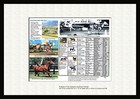 11 By 8 5 First Down Dash Famous  Racing Quarter Horse Picture Pedigree