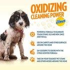 Pet Odor Remover Spray Eliminator Citrus Dog Cat Stain Urine Carpet 32 Ounces