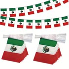          Mexico Flag Bunting 10m World Cup 2026 Cinco De Mayo Speedy Delivery