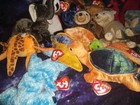 Ty Beanie Baby Lot Of 18  Excellent Condition 