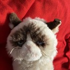Grumpy Cat Plush Stuffed Siamese Cat 10    Gund Collectible 2003