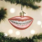 Old World Christmas Glass Blown Ornament For Christmas Tree  Braces