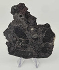 Nwa 16315 Lunar Melt Breccia Meteorite 22 7 Gram Polished Slice  Low Tkw