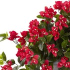 Nearly Natural Bougainvillea Flowering Silk Plant With Decorative Urn Uv