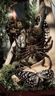 Real Spider Tarantula Handmade Shadow Box  Lantern Insect Frame Taxidermy