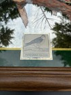 Miller High Life Peregrine Falcon Bar Mirror Beer Sign - Read