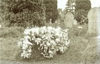 2 Antique Glass Plate Negatives C1907 Churchyard Grave Funeral Flowers Wiltshire