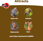 Kaytee Backyard Wildlife Food Blend For Wild Squirrels  Chipmunks  Rabbits And O