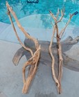Set Of 2 Large Driftwood Manzanita Aquascape Aquarium Terariam 