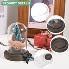Cloche Glass Dome  3 9 x2 4  Glass Display Case With Wooden Base  dark 