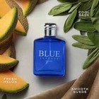 Blue Cologne For Men Spray 3 4 Oz Edt New In Box