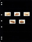  4 40 Scott Value - 1994 Turkmenistan Reptiles Wildlife Natl  Park Cv Mnh Nh Umm