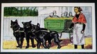 Belgian Sheepdog Cart   Vintage 1971 Illustrated Card  De21m