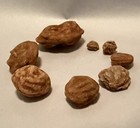 8 Assorted Oklahoma Rose Rocks  Collection Rockhound Gift Souvenir Barite baryte